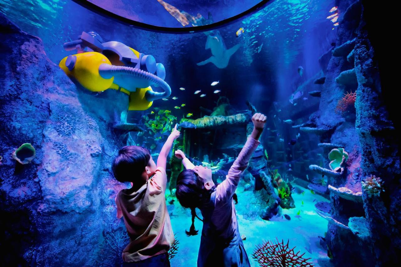 נוסג'יה Legoland Malaysia Hotel מראה חיצוני תמונה Aquarium at the National Museum of Natural History